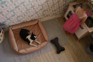 Ortopedisk hundbäddar – Cuddle Vivo
