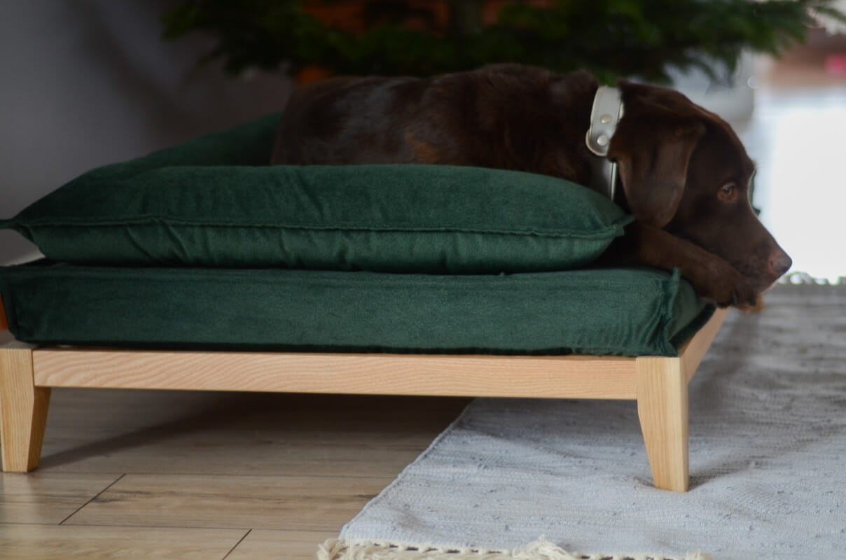 Ortopediska hundsofa – DUO TIERRA FLASKGRÖN - Bild 3