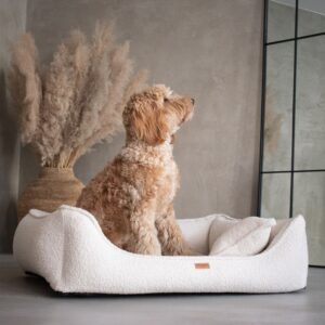 Ortopediska premium hundsängar med löstagbar madrass – BELLUNO BEIGE