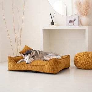Ortopedisk premiumbädd för hund och katt – MILANO SENAP