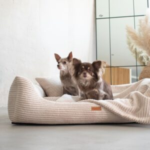 Ortopediska premium hundsängar med löstagbar madrass – RIMINI BEIGE