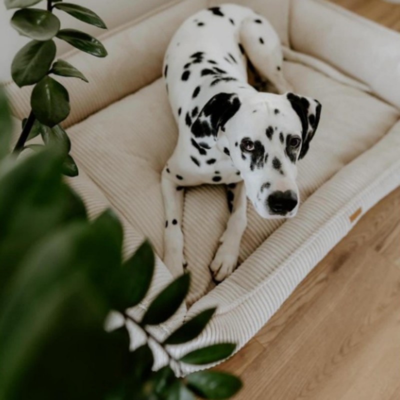 Ortopedisk premiumbädd för hund och katt – MILANO BEIGE