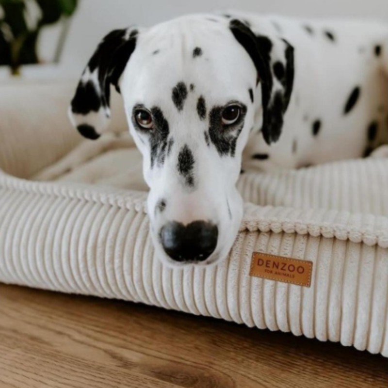 Ortopedisk premiumbädd för hund och katt – MILANO BEIGE - Bild 2