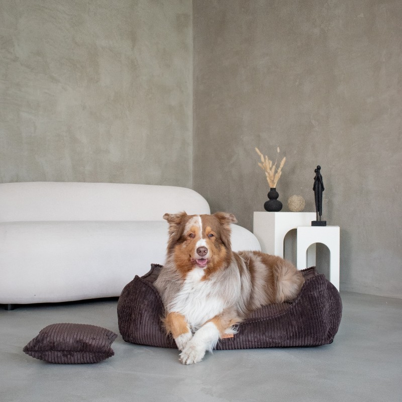 Ortopedisk premiumbädd för hund och katt – MILANO BRUN