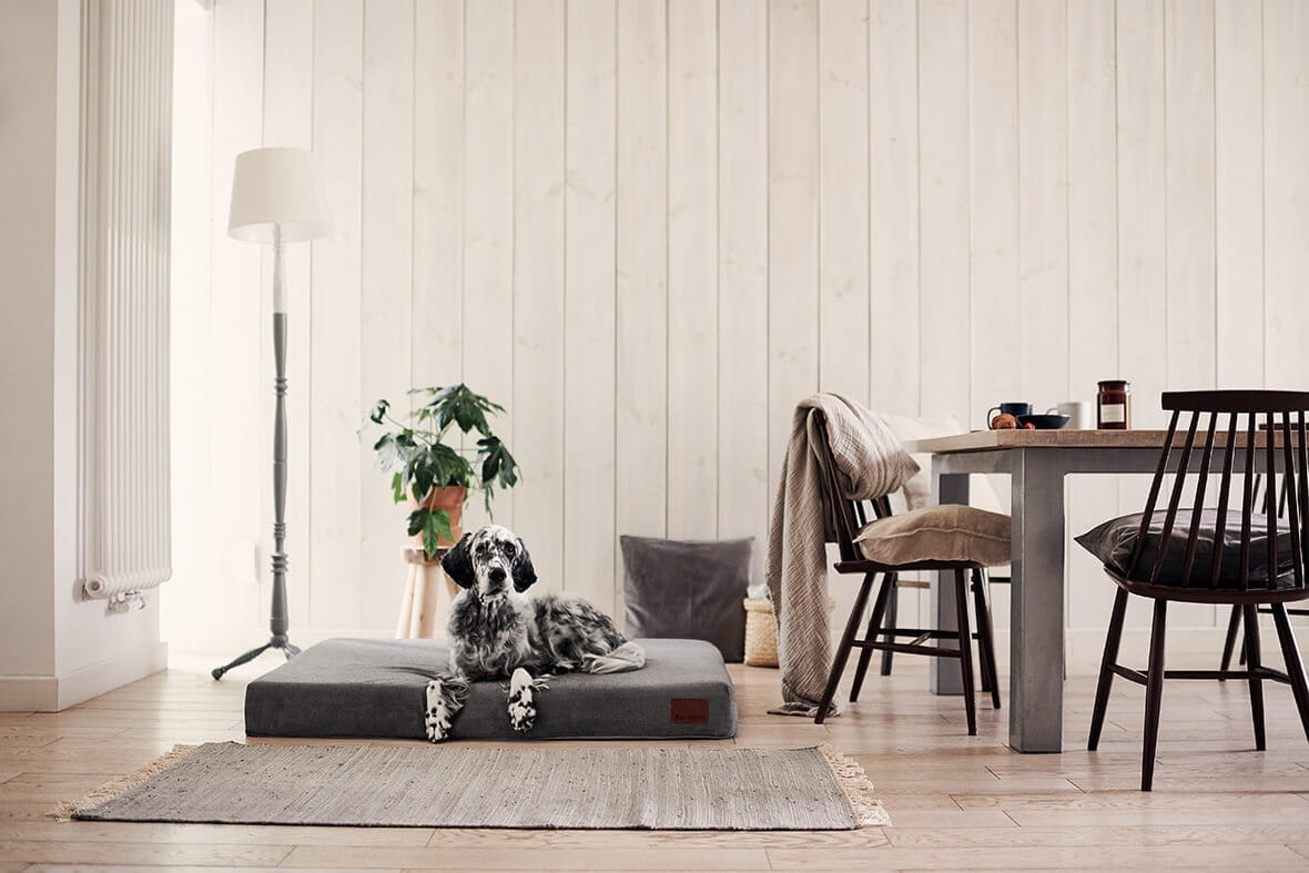 Ortopedisk hundmadrass – NUVOLA AUTUMN MÖRKGRÅ - Bild 2