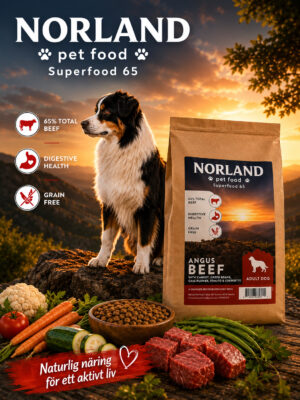 Norland Superfood 65 – Vuxen
